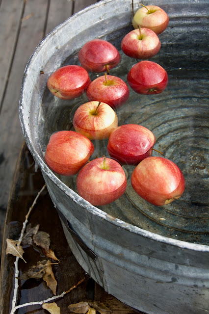 embracing autumn with a tin tub filled with water and apples floating for a game of bobbing for apples.