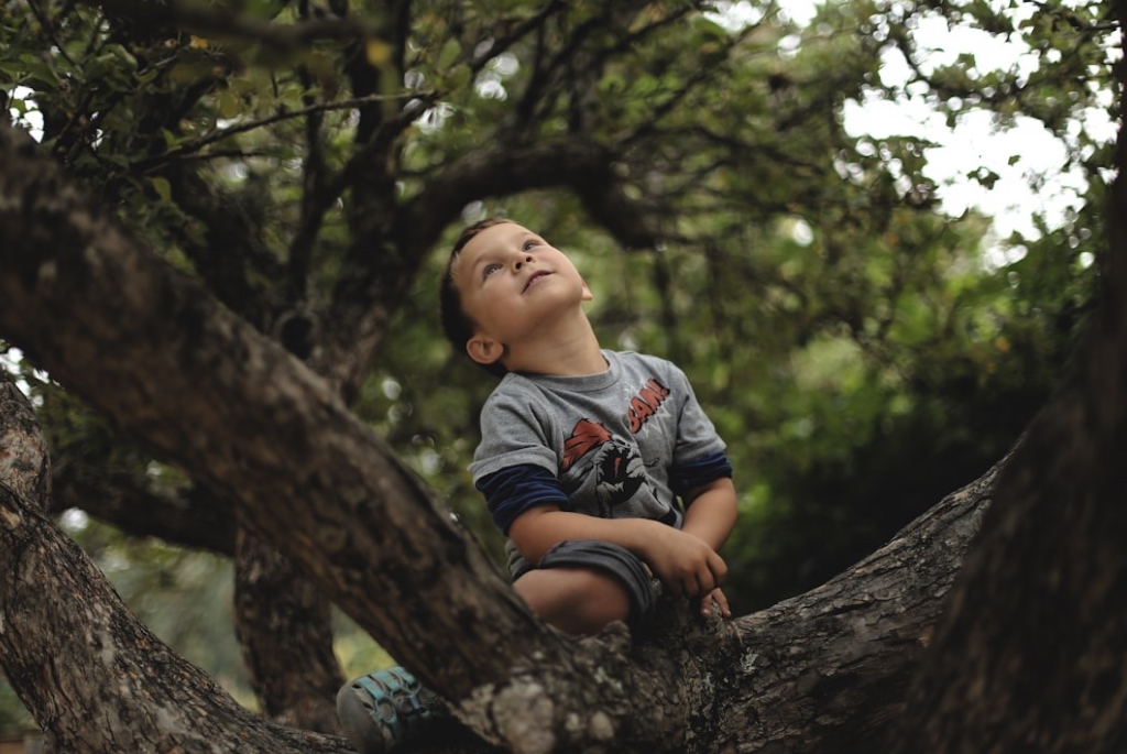 preschooler boy outside daydreaming in an old tree