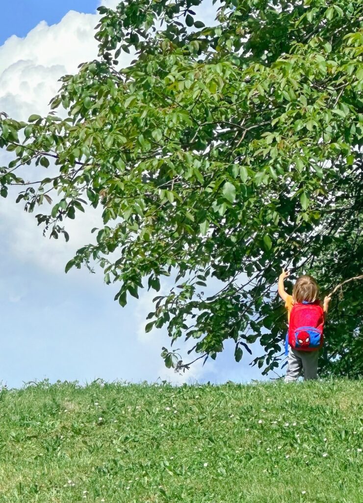 preschooler wearing a red backpack outside on a clear blue sky day exploring the tactile experiences of a tree