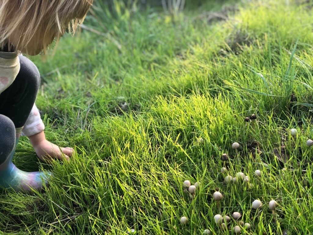 Preschooler out in nature enjoying tactile experiences in the green grass